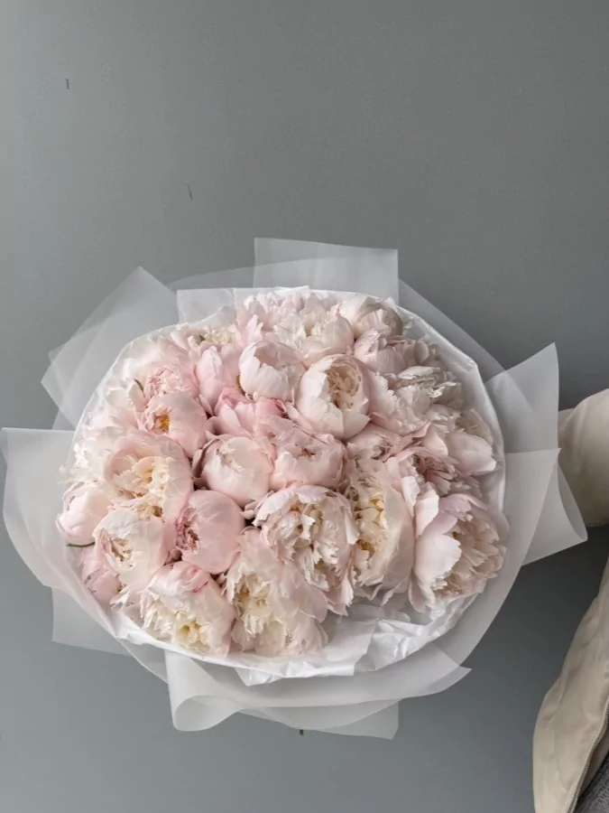 Pachnące Peonie - sam...